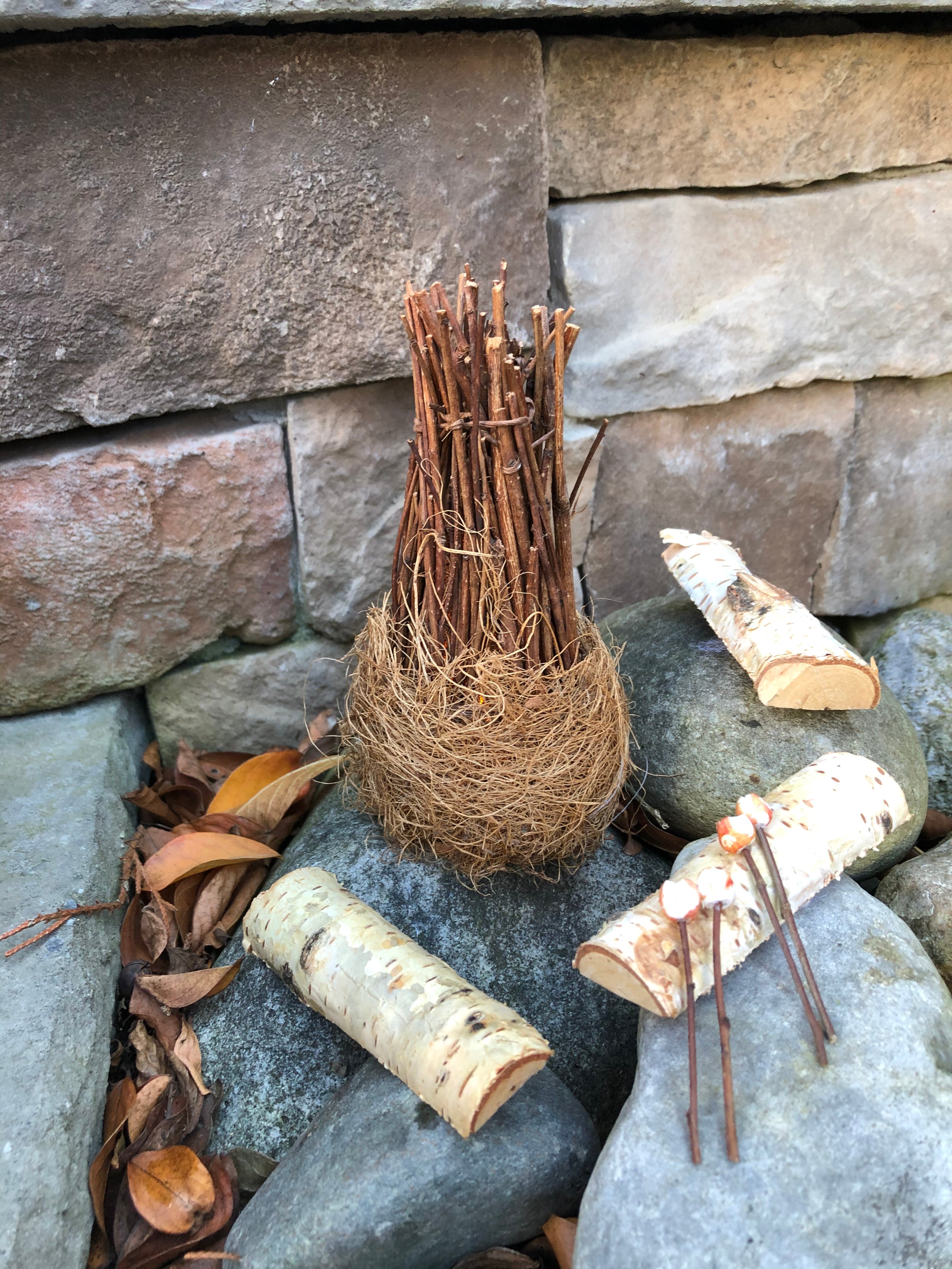 Fairy Campfire Scene