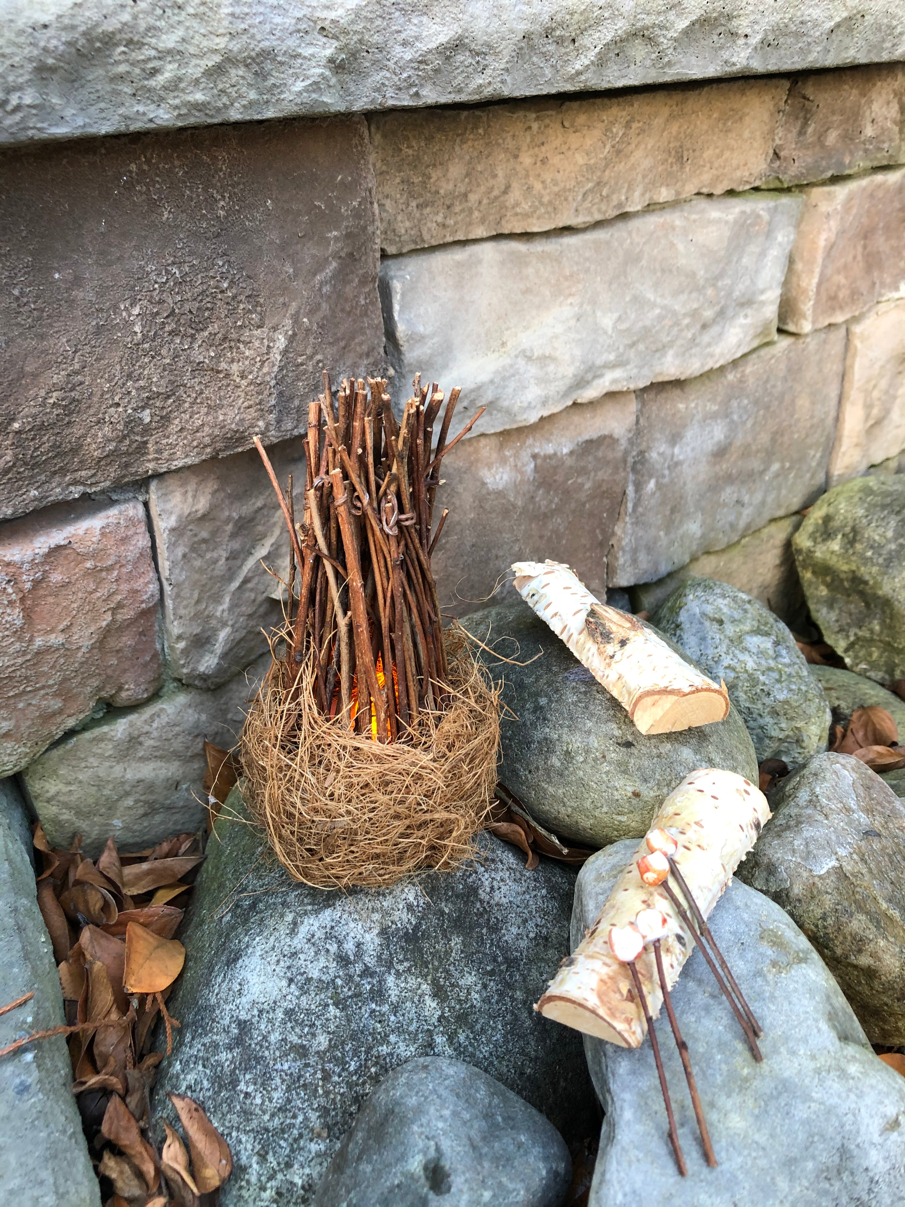 Fairy Campfire Scene