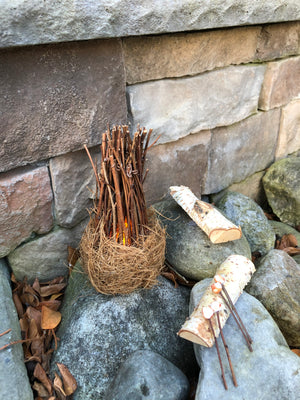 Fairy Campfire Scene