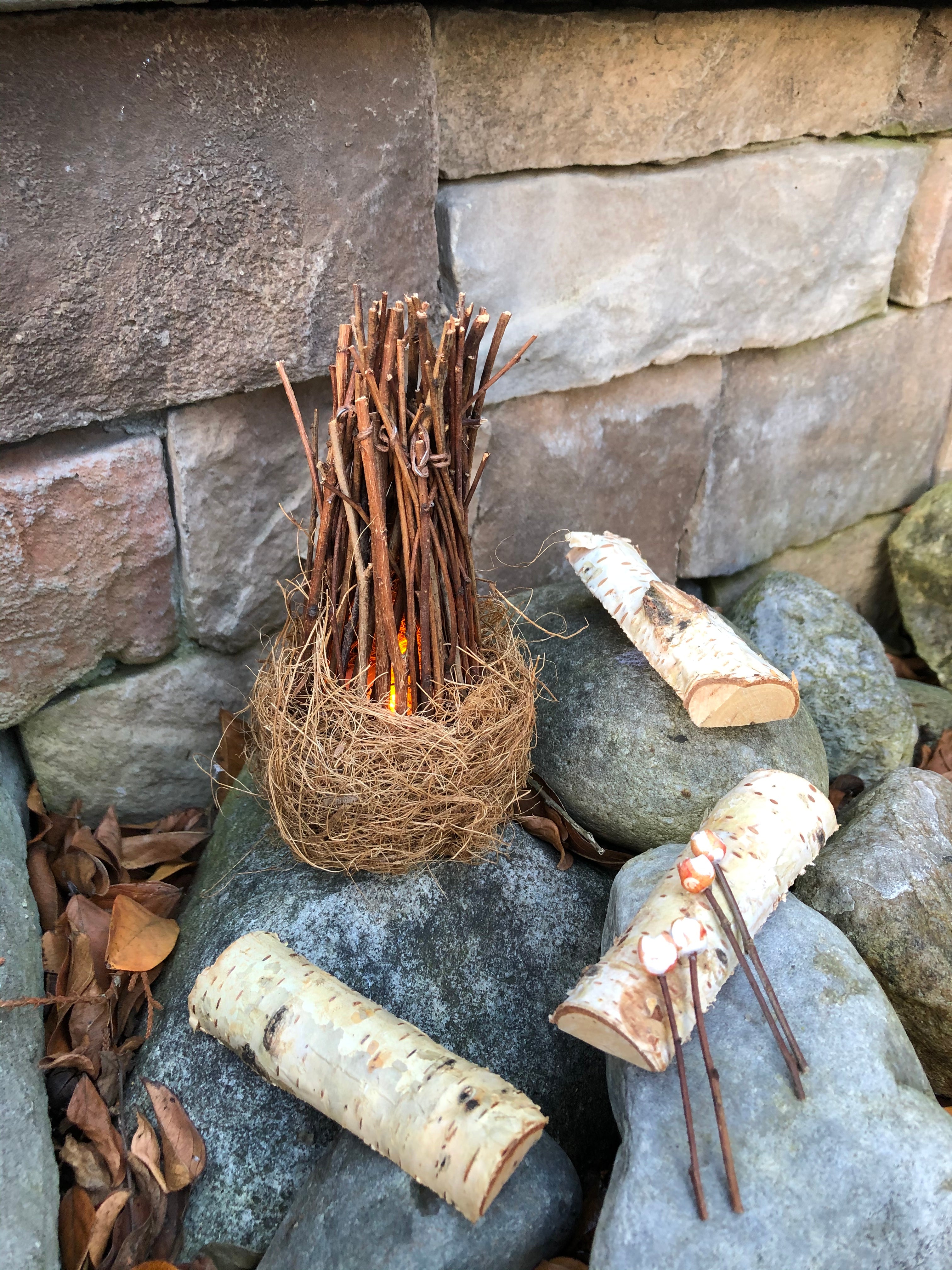 Fairy Campfire Scene