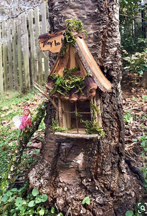 Fairy Window with Twinkle Light