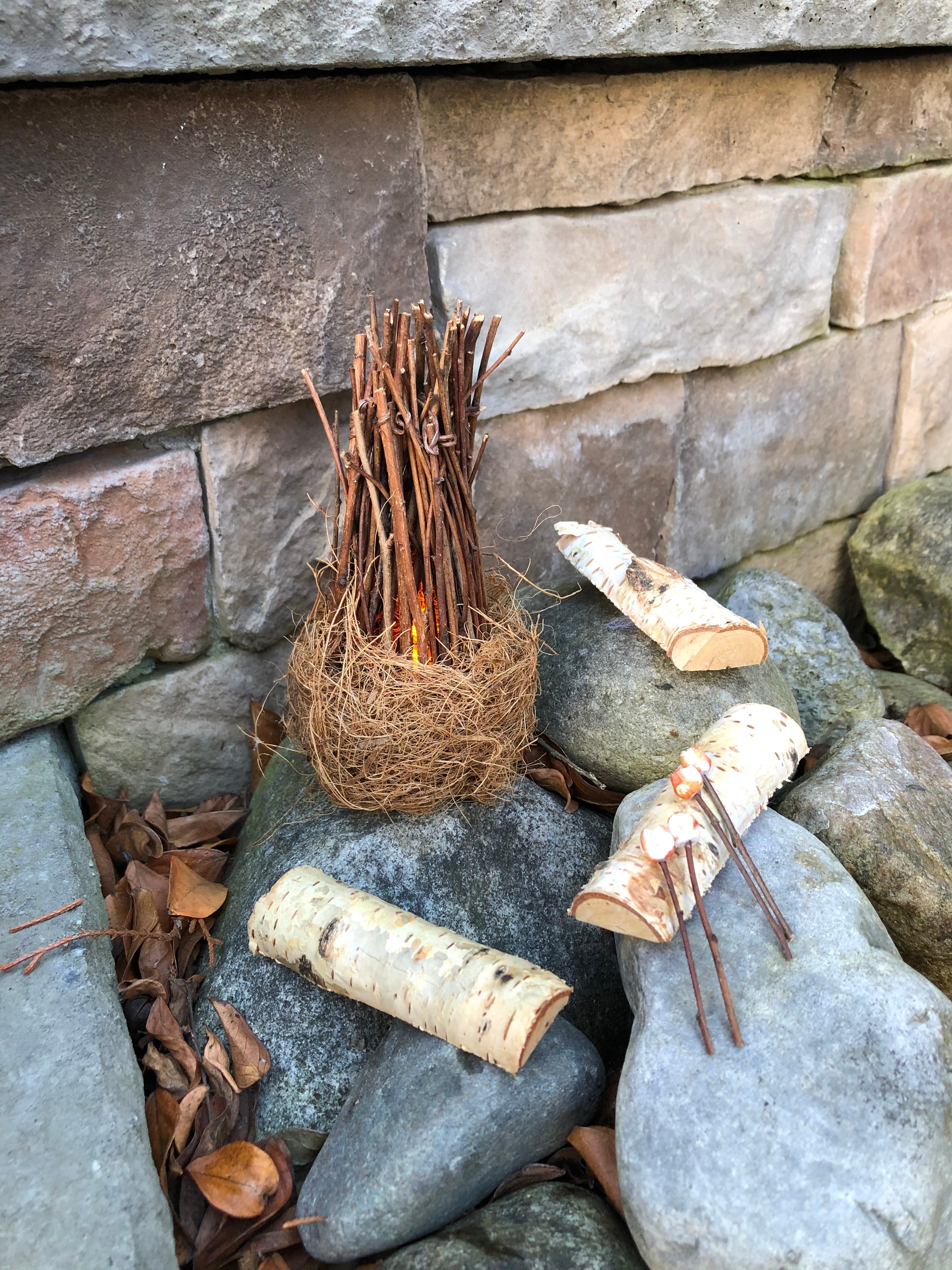 Fairy Campfire Scene