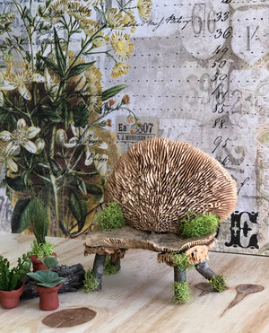Mushroom Bench with Herb Pots