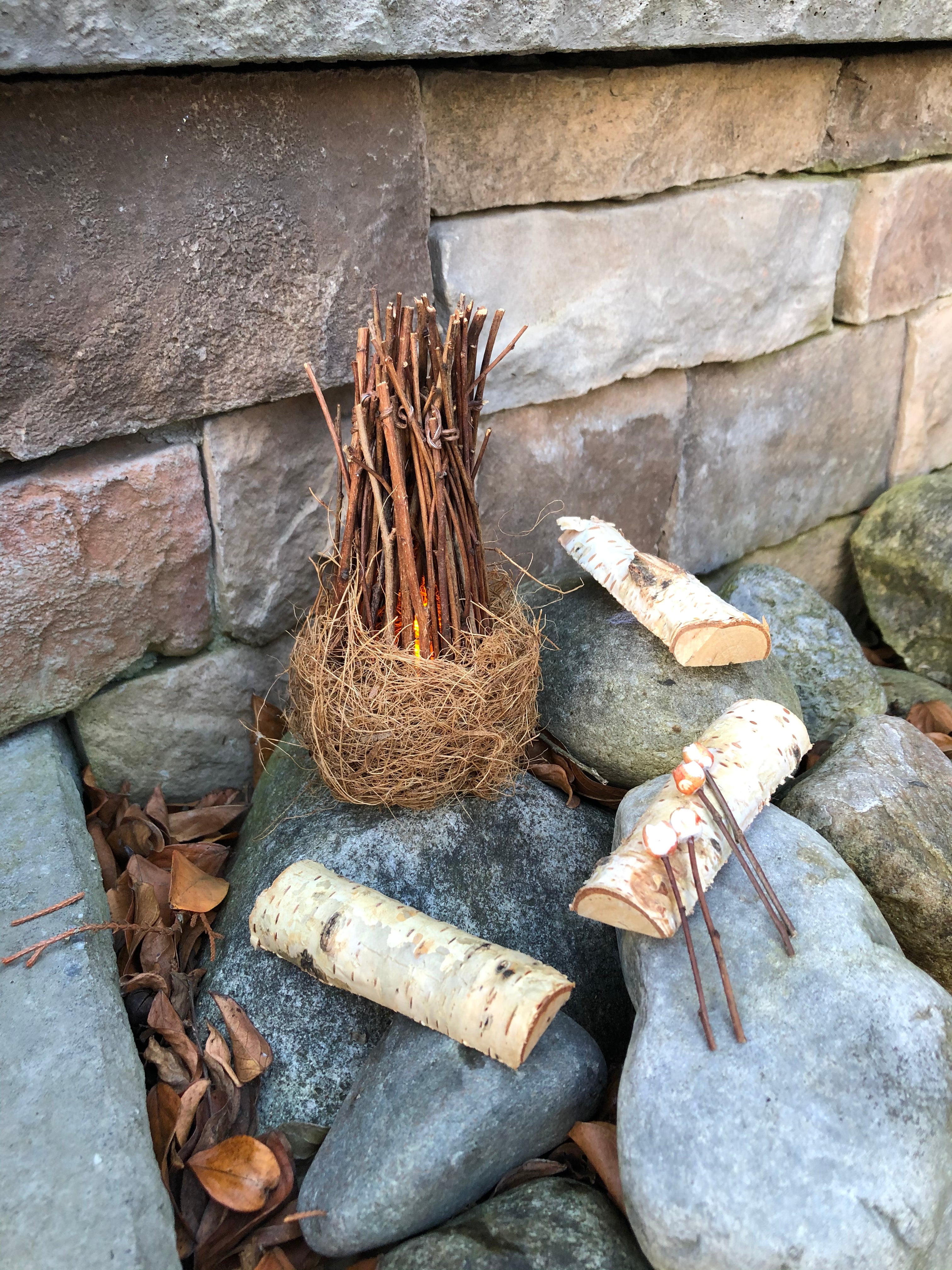 Fairy Campfire Scene