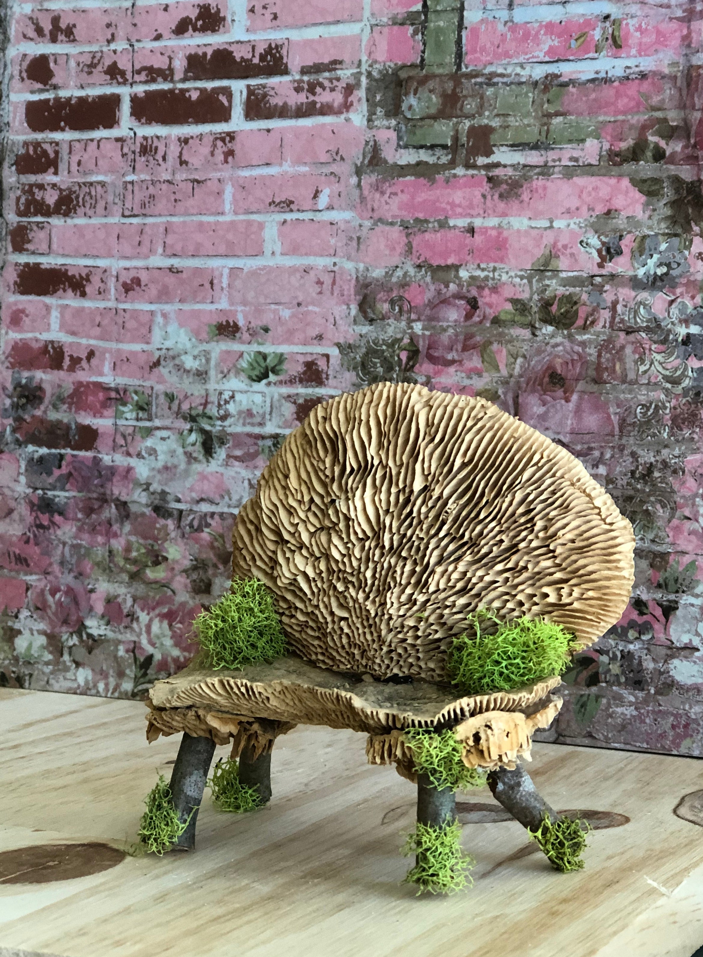 Mushroom Bench with Herb Pots