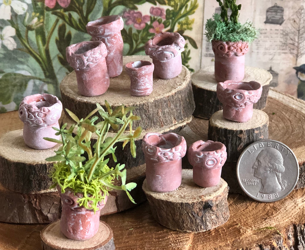 Mini Flower Pots by Olive, Six (6) Included