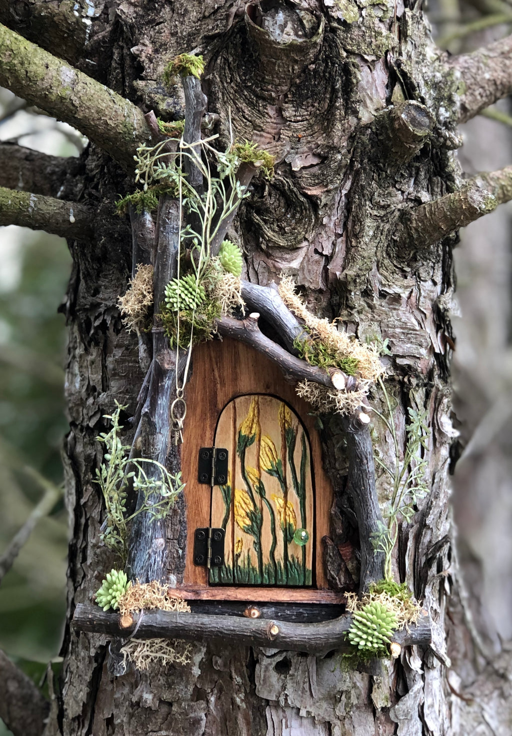 Fairy Door