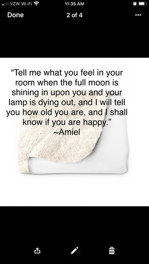 Thinking Blanket/Sherpa ~ Amiel