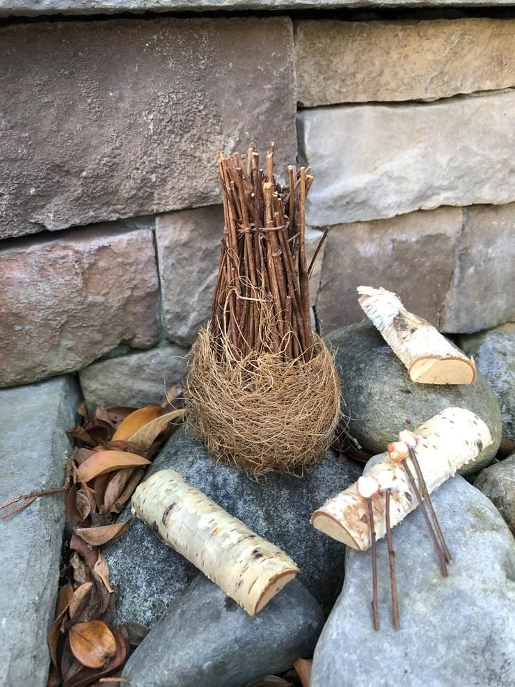 Fairy Fireside